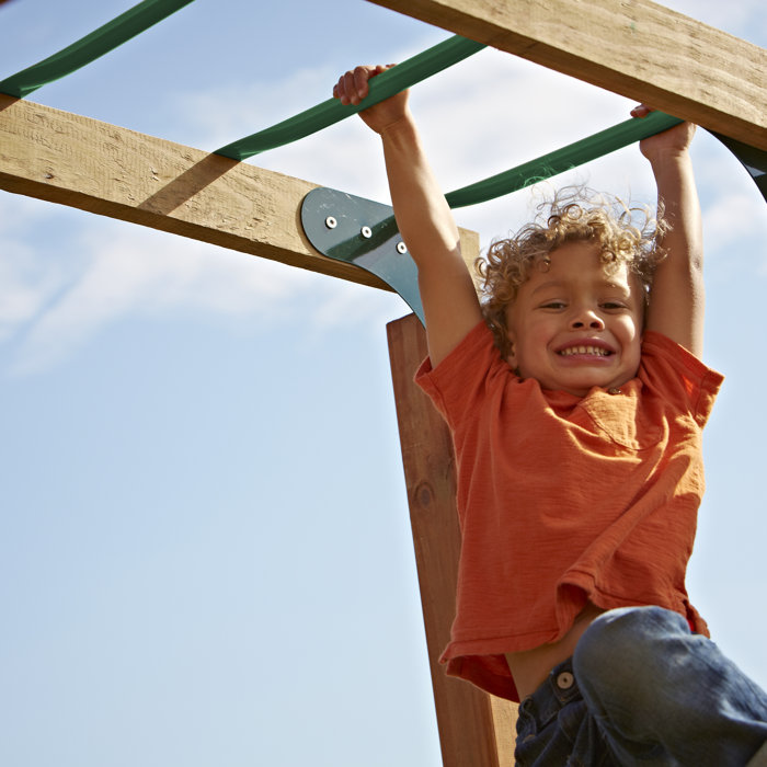 SwingnSlide Monkey Bars & Reviews Wayfair